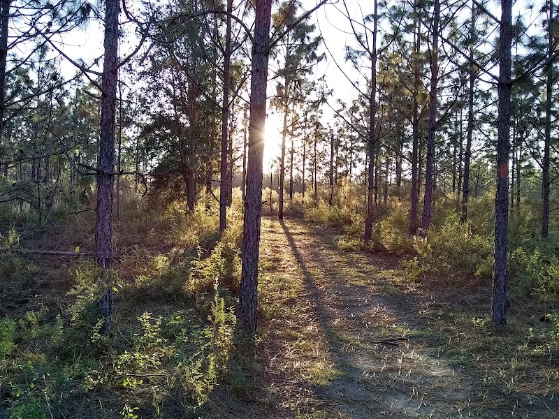 Marjorie Harris Carr Cross Florida Greenway Park