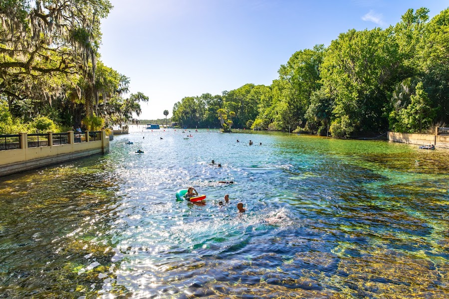 Salt Springs Recreation Area