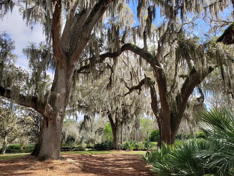 Sholom Park